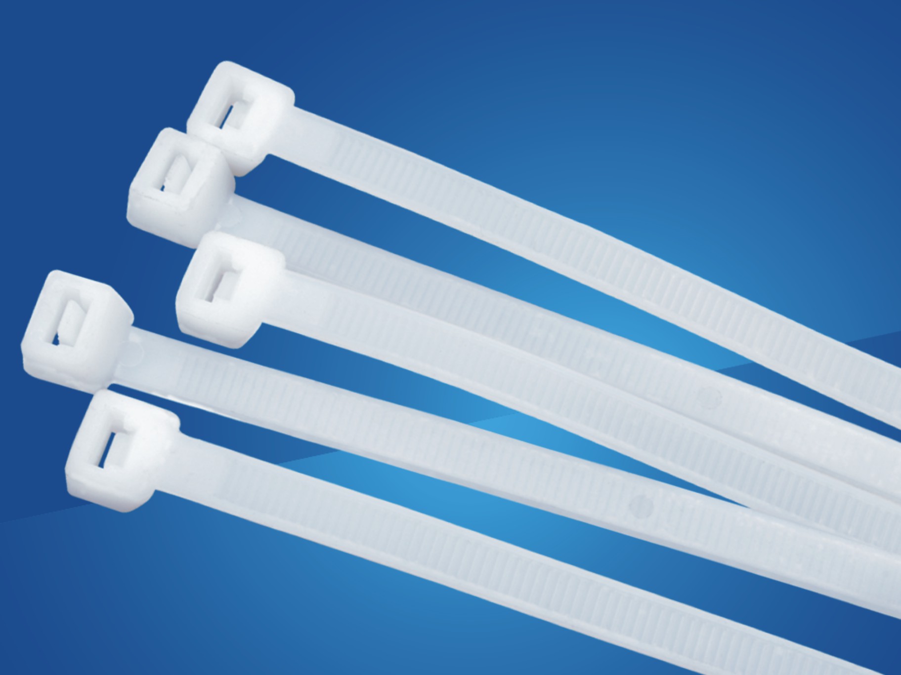 Nylon Cable Tie-1